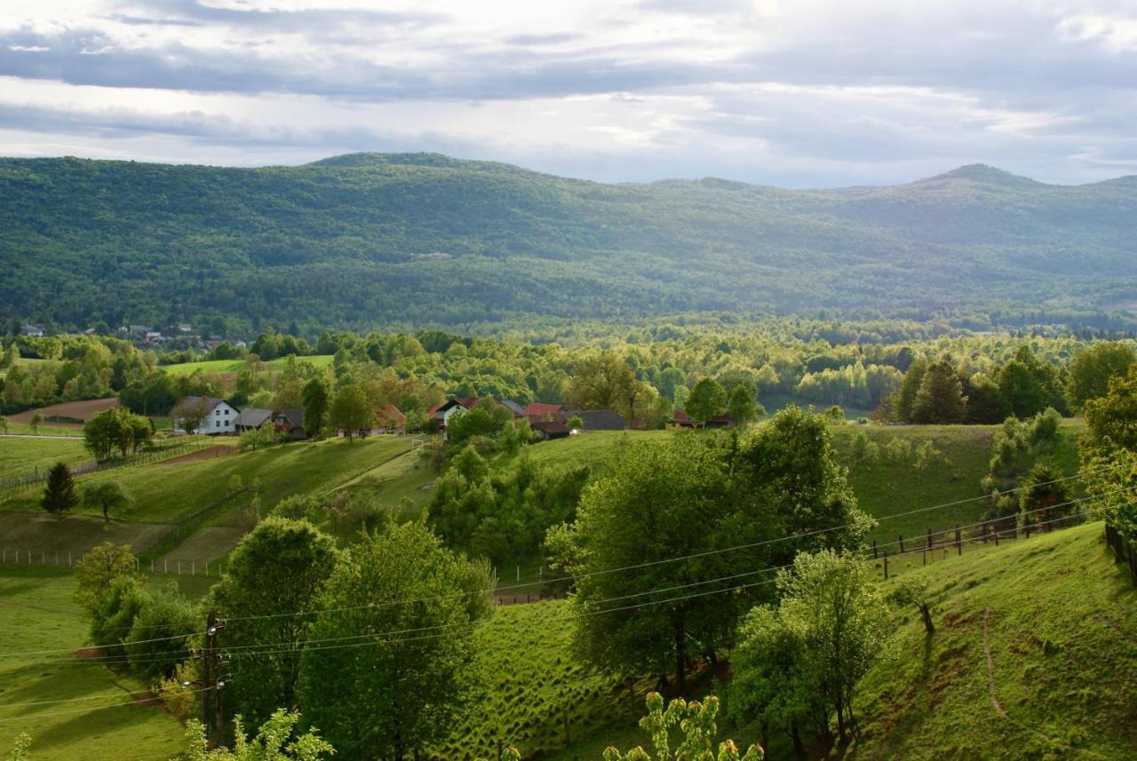 Frankovic Bed&Breakfast Vinica Экстерьер фото